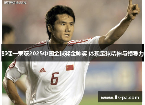 邵佳一荣获2025中国金球奖金帅奖 体现足球精神与领导力