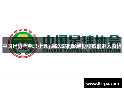 中国足协严查职业俱乐部欠薪问题逾期将取消准入资格